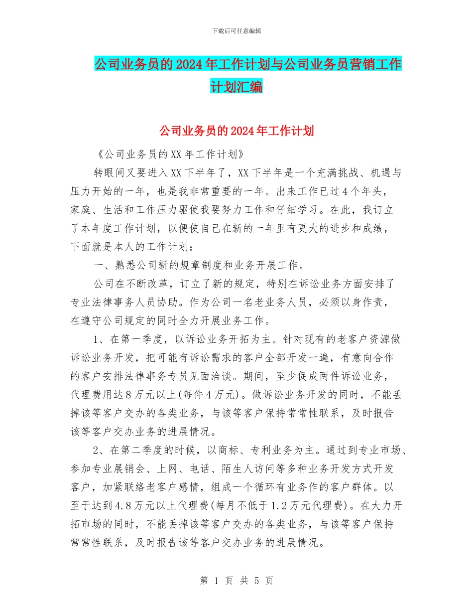 公司业务员的2024年工作计划与公司业务员营销工作计划汇编_第1页