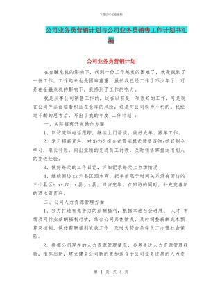 公司业务员营销计划与公司业务员销售工作计划书汇编