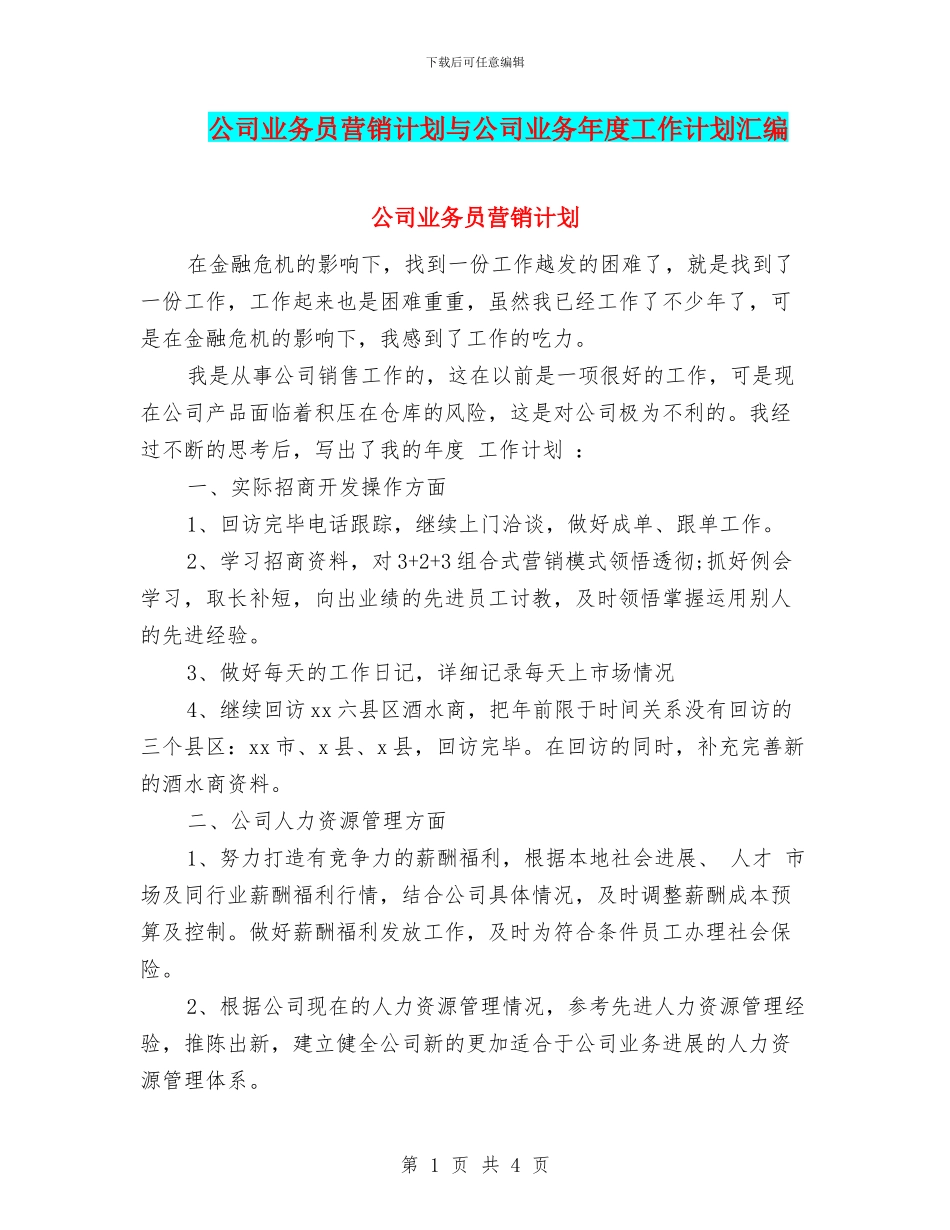 公司业务员营销计划与公司业务年度工作计划汇编_第1页