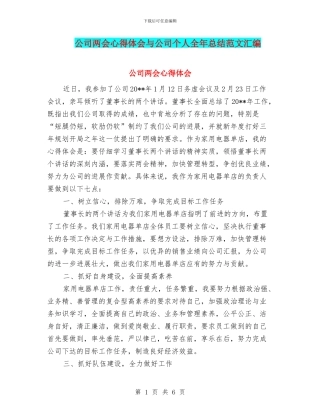 公司两会心得体会与公司个人全年总结范文汇编