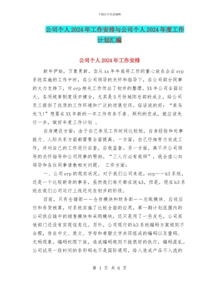 公司个人2024年工作安排与公司个人2024年度工作计划汇编