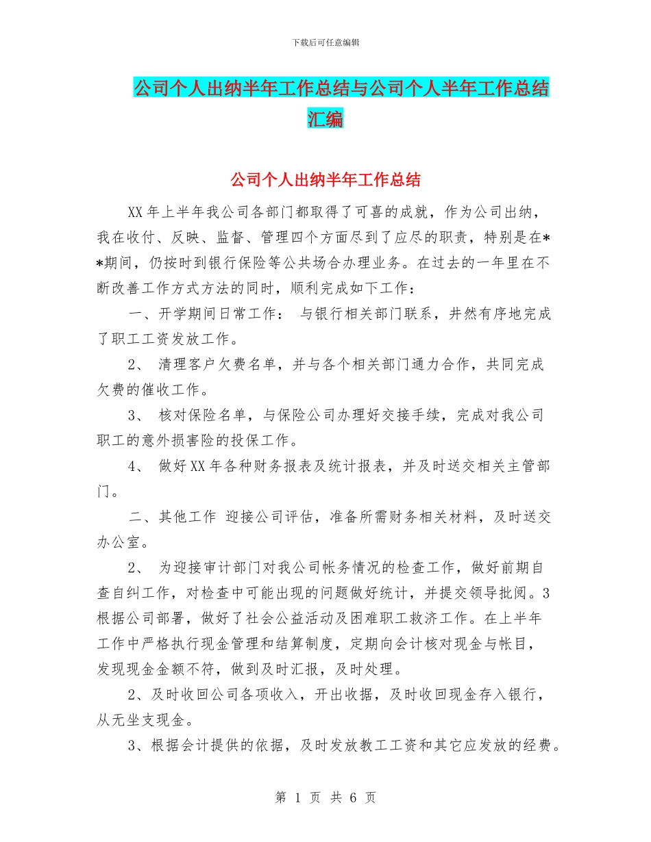 公司个人出纳半年工作总结与公司个人半年工作总结汇编_第1页