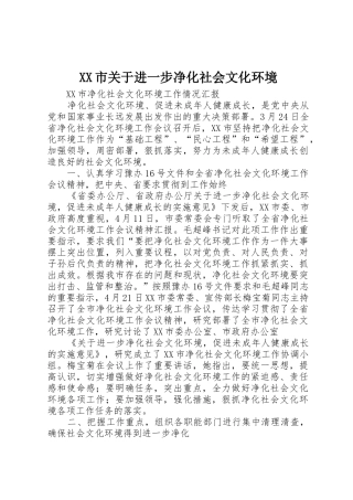 XX市关于进一步净化社会文化环境