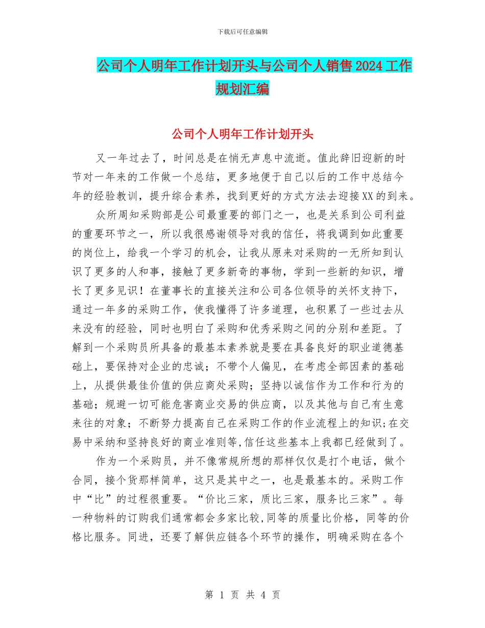 公司个人明年工作计划开头与公司个人销售2024工作规划汇编_第1页