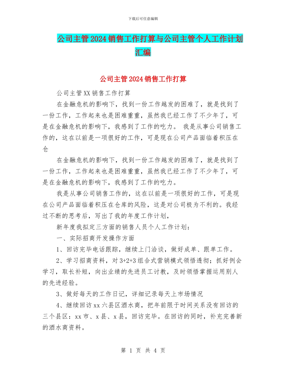 公司主管2024销售工作打算与公司主管个人工作计划汇编_第1页
