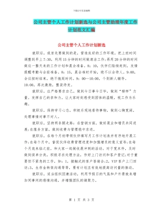 公司主管个人工作计划新选与公司主管助理年度工作计划范文汇编