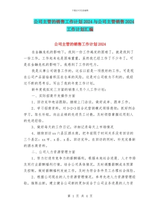 公司主管的销售工作计划2024与公司主管销售2024工作计划汇编
