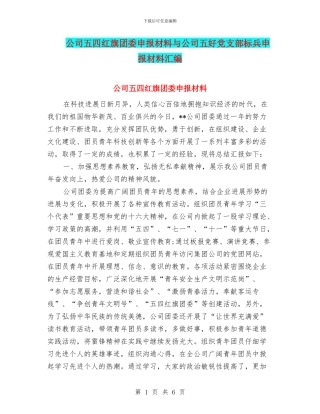公司五四红旗团委申报材料与公司五好党支部标兵申报材料汇编