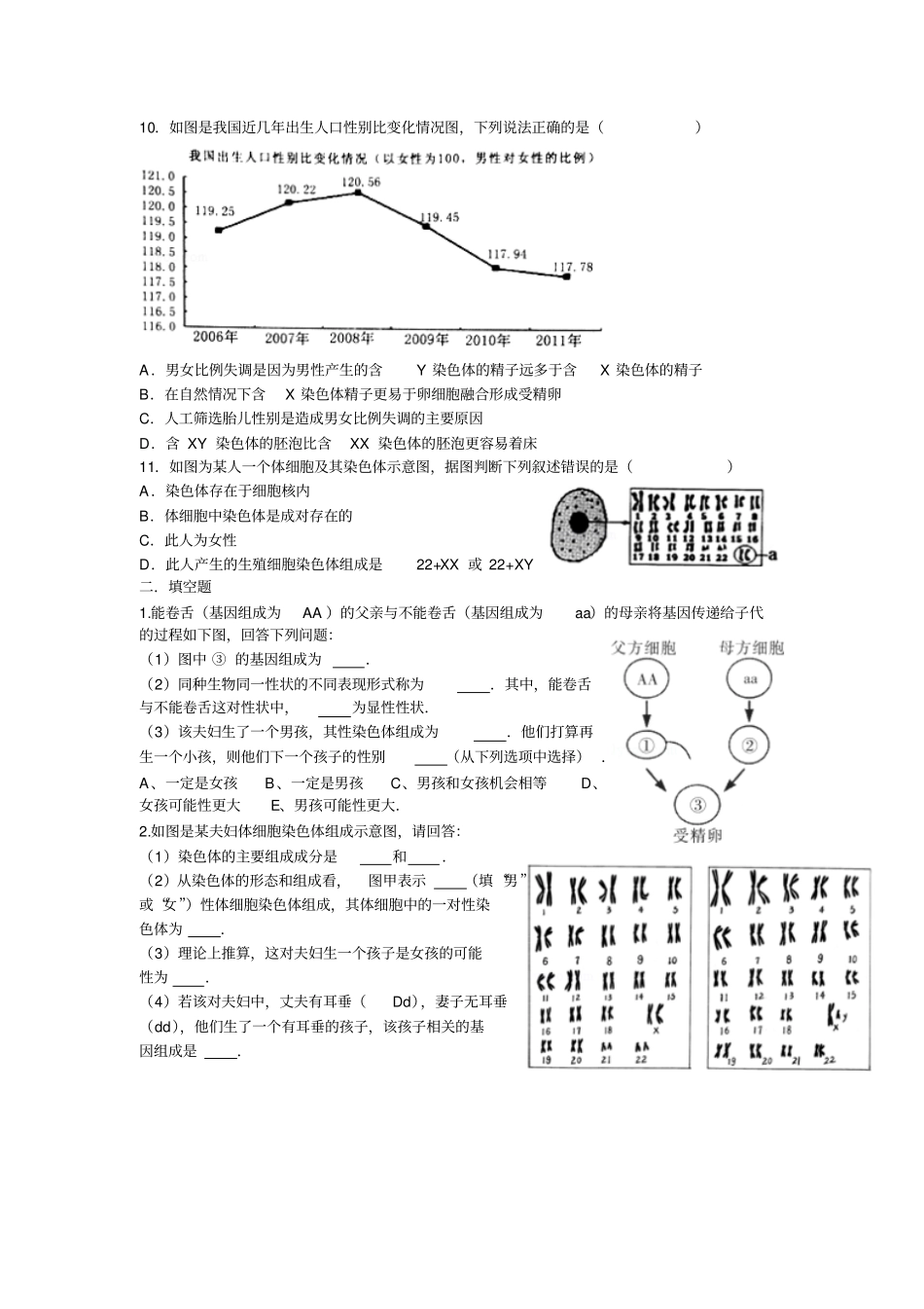 人的性别决定练习题_第2页
