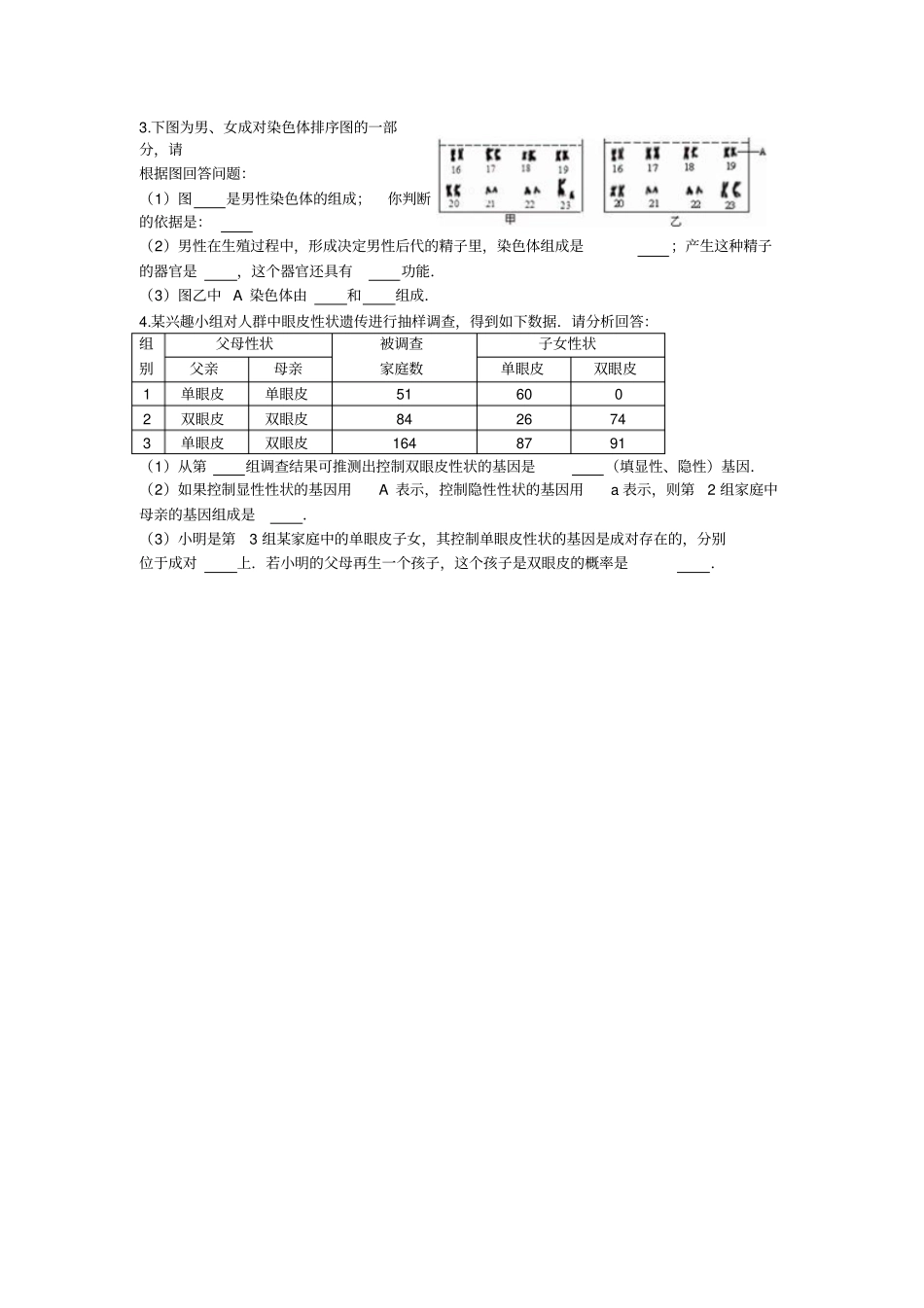 人的性别决定练习题_第3页