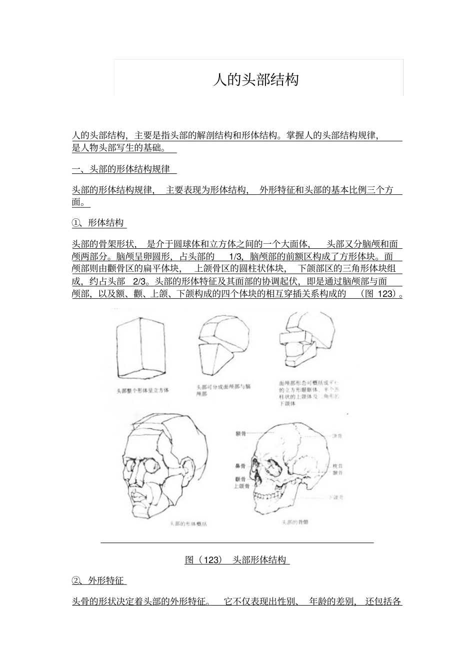 人的头部结构_第1页