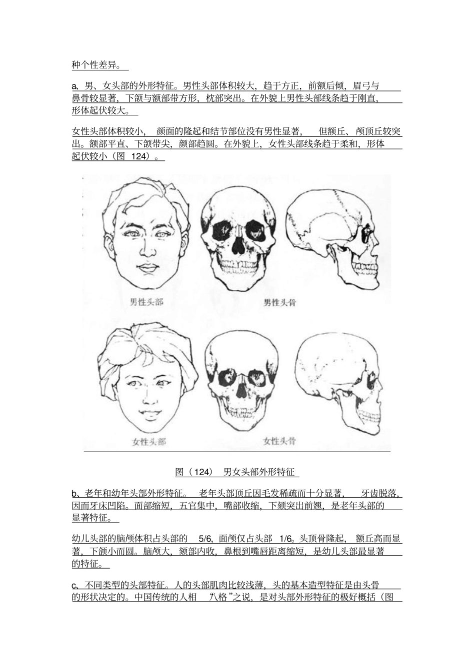 人的头部结构_第2页