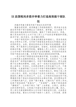 XX县国税局多措并举着力打造高效能干部队伍