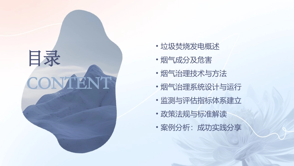 垃圾焚烧发电厂烟气治理课件1_第2页