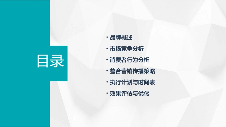 白沙品牌整合营销传播建议书课件_第2页