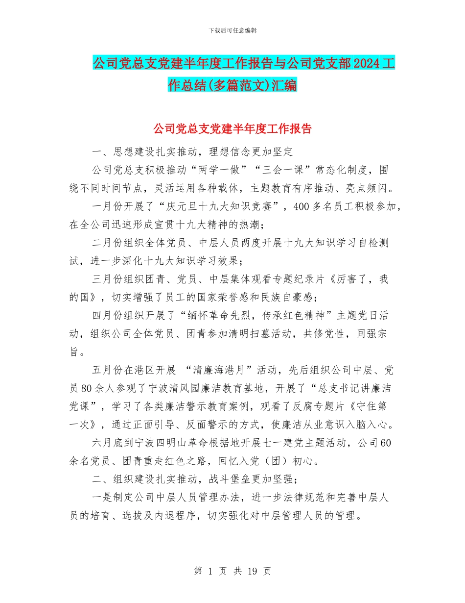 公司党总支党建半年度工作报告与公司党支部2024工作总结汇编_第1页