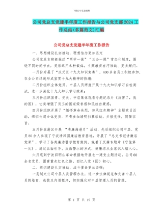 公司党总支党建半年度工作报告与公司党支部2024工作总结汇编