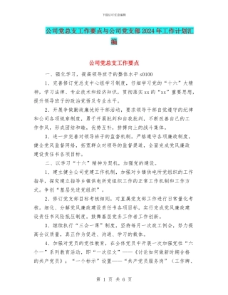 公司党总支工作要点与公司党支部2024年工作计划汇编