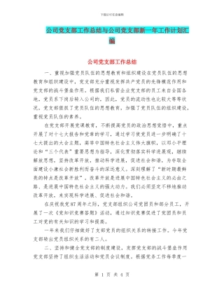 公司党支部工作总结与公司党支部新一年工作计划汇编