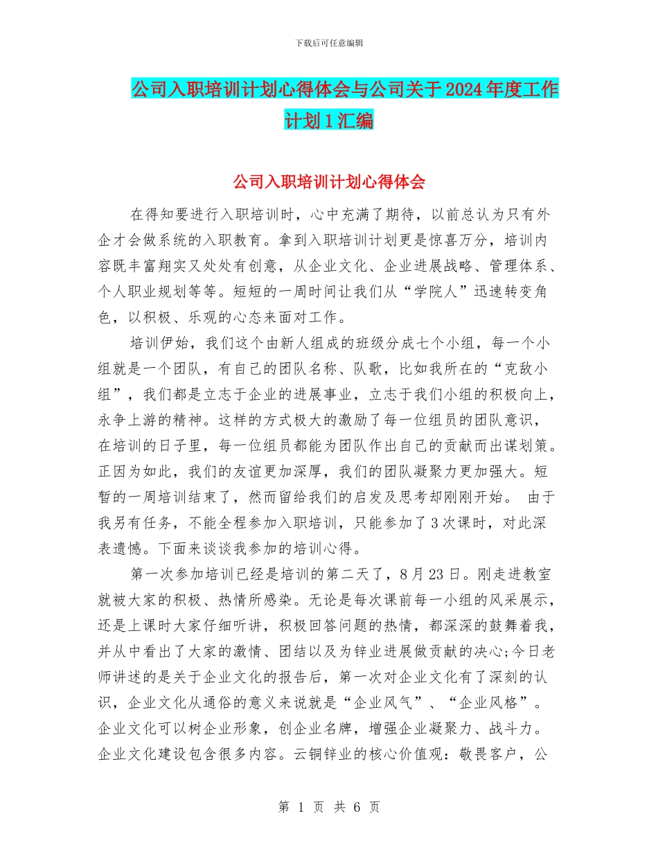 公司入职培训计划心得体会与公司关于2024年度工作计划1汇编_第1页