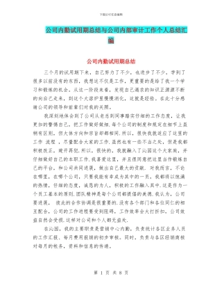 公司内勤试用期总结与公司内部审计工作个人总结汇编