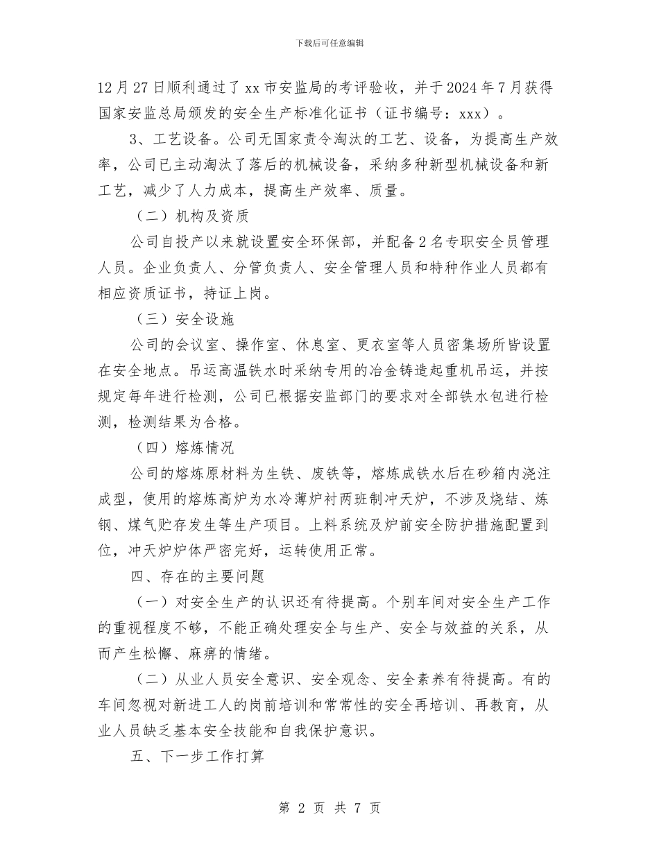 公司冶金企业安全生产专项整治工作总结与公司出纳2024年度总结范文汇编_第2页