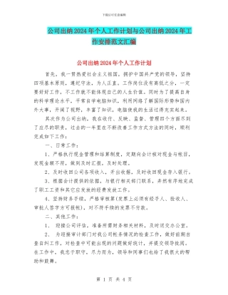 公司出纳2024年个人工作计划与公司出纳2024年工作安排范文汇编