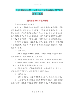 公司出纳2024年个人计划与公司出纳2024年工作安排范文汇编