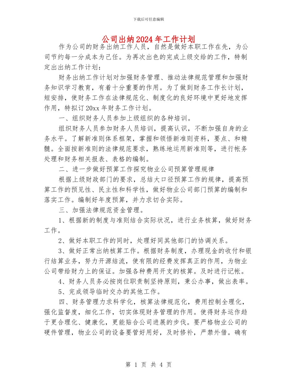 公司出纳2024年工作计划_第1页