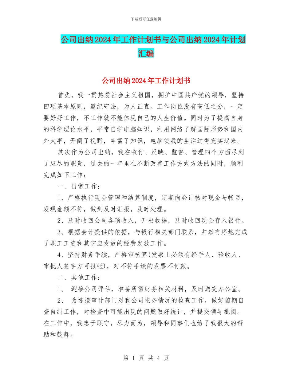 公司出纳2024年工作计划书与公司出纳2024年计划汇编_第1页
