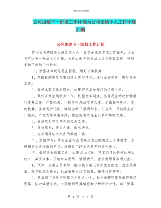 公司出纳下一阶段工作计划与公司出纳个人工作计划汇编