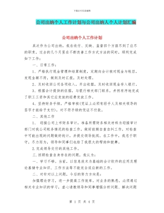 公司出纳个人工作计划与公司出纳人个人计划汇编