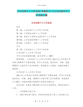 公司出纳个人工作总结与公司出纳半年工作总结汇编