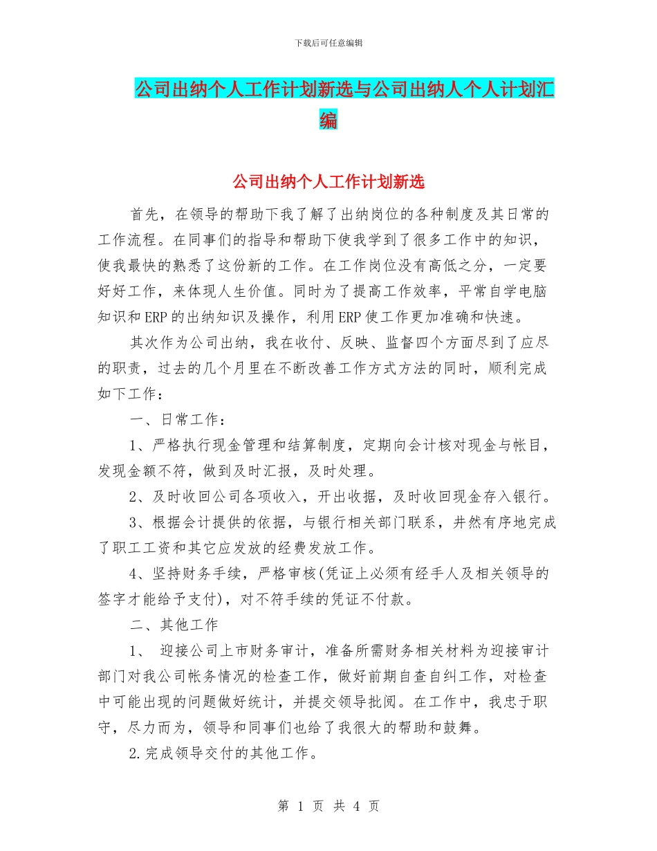 公司出纳个人工作计划新选与公司出纳人个人计划汇编_第1页