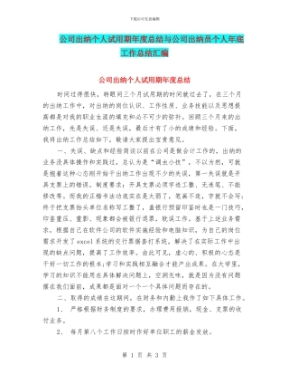 公司出纳个人试用期年度总结与公司出纳员个人年底工作总结汇编