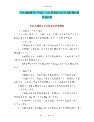 公司出纳员个人年底工作总结报告与公司出纳员年终总结汇编
