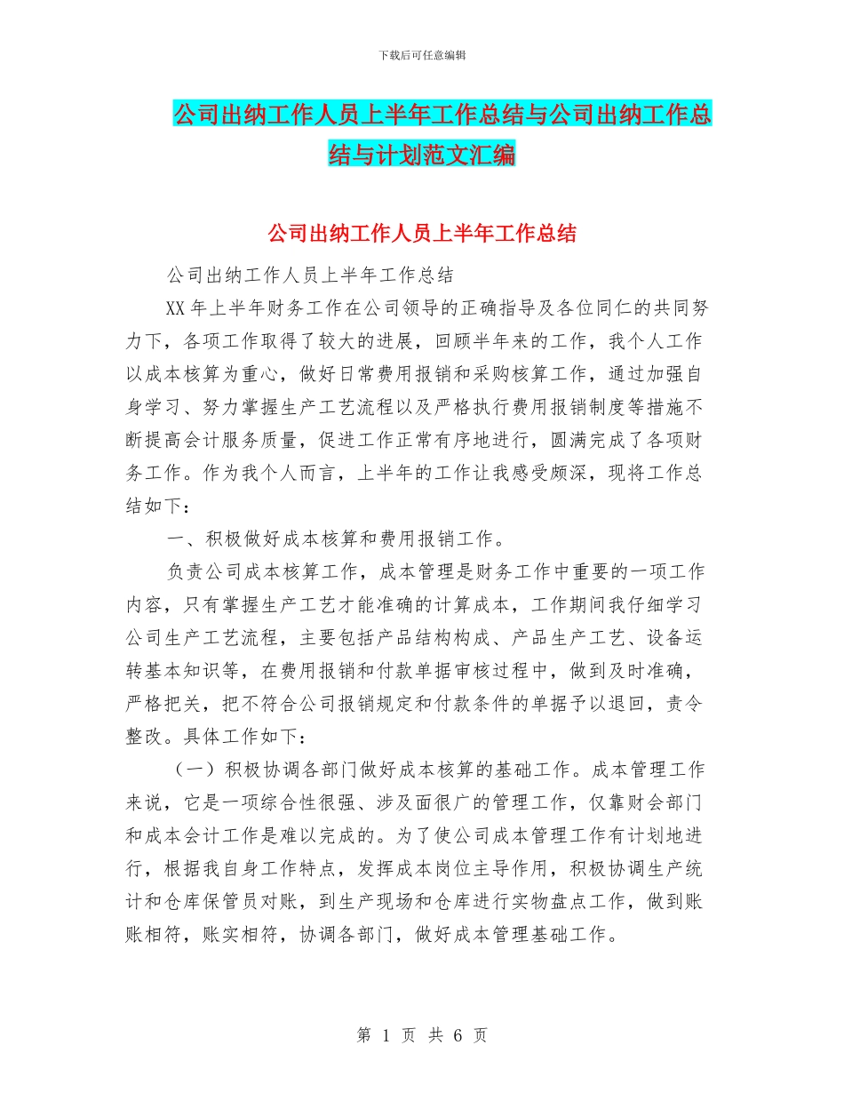 公司出纳工作人员上半年工作总结与公司出纳工作总结与计划范文汇编_第1页