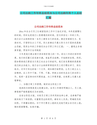 公司出纳工作年终总结范本与公司出纳年终个人总结汇编