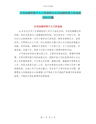 公司出纳年终个人工作总结与公司出纳年终工作总结2024汇编
