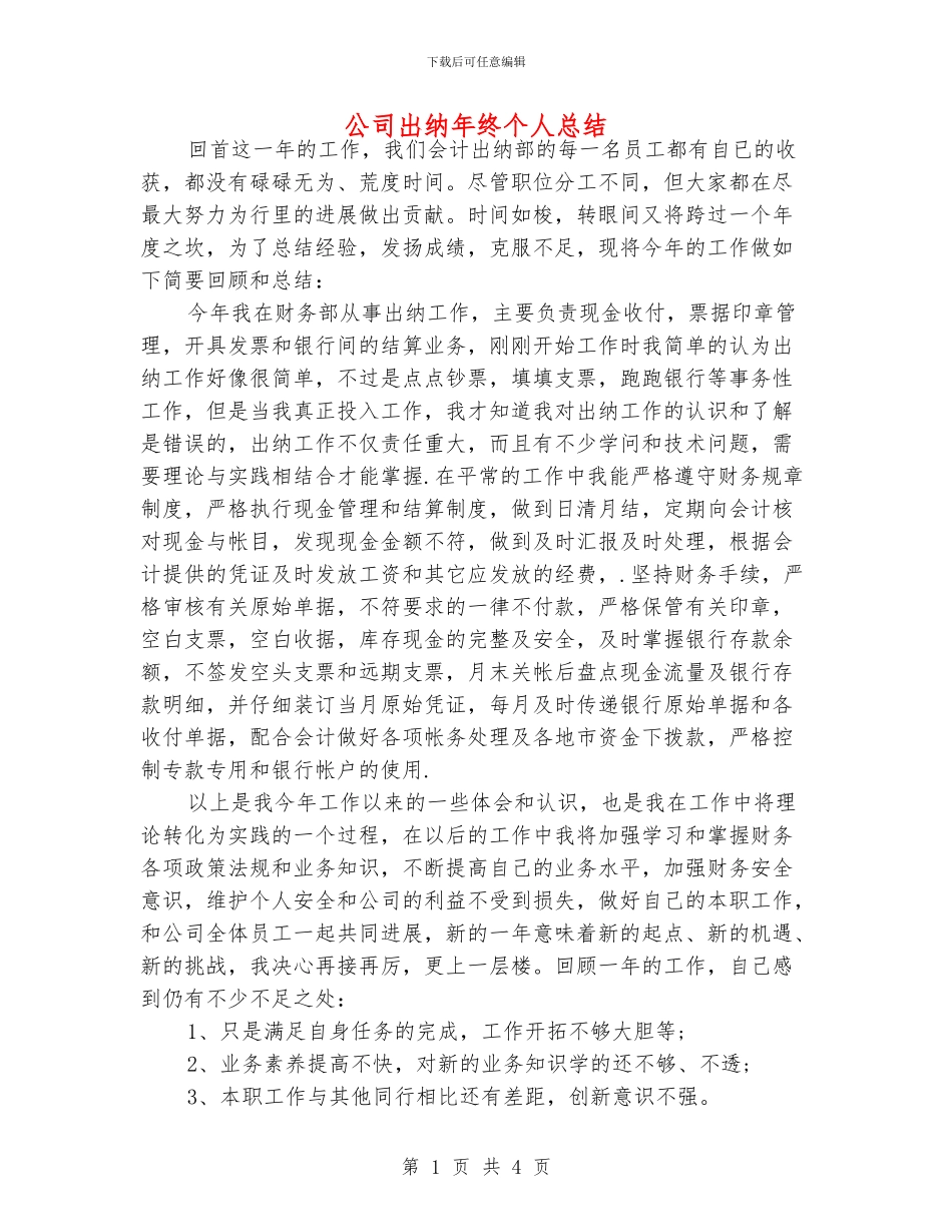 公司出纳年终个人总结_第1页