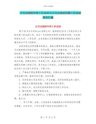 公司出纳的年终工作总结与公司出纳试用期工作总结报告汇编