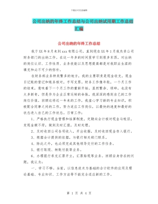 公司出纳的年终工作总结与公司出纳试用期工作总结汇编