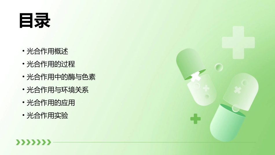 光合作用吸收二氧化碳释放氧气课件_第2页