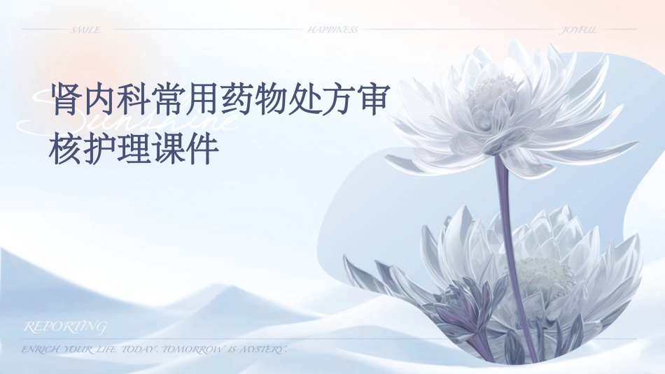 肾内科常用药物处方审核护理课件_第1页