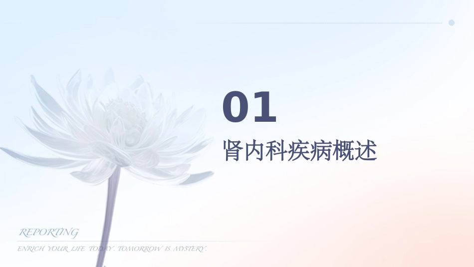 肾内科常用药物处方审核护理课件_第3页