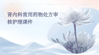 肾内科常用药物处方审核护理课件