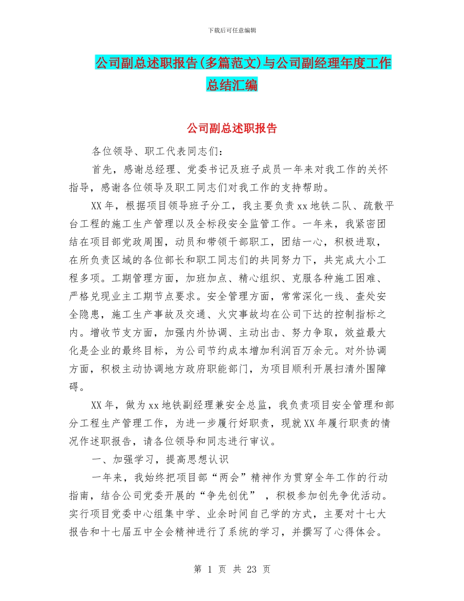公司副总述职报告与公司副经理年度工作总结汇编_第1页