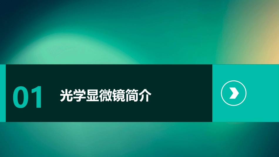 光学显微镜的使用方法课件_第3页
