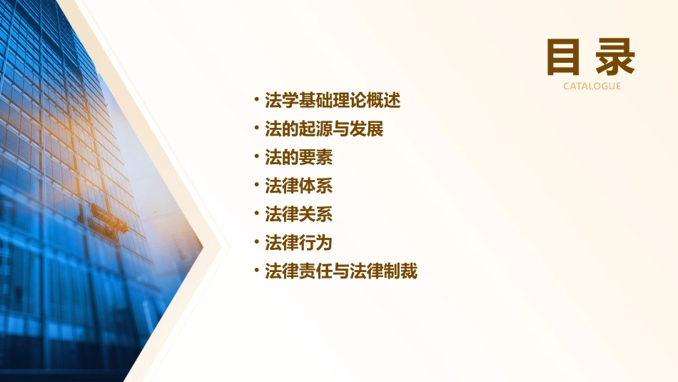 法学基础理论(新)课件_第2页