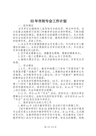 XX年市初专会工作计划 